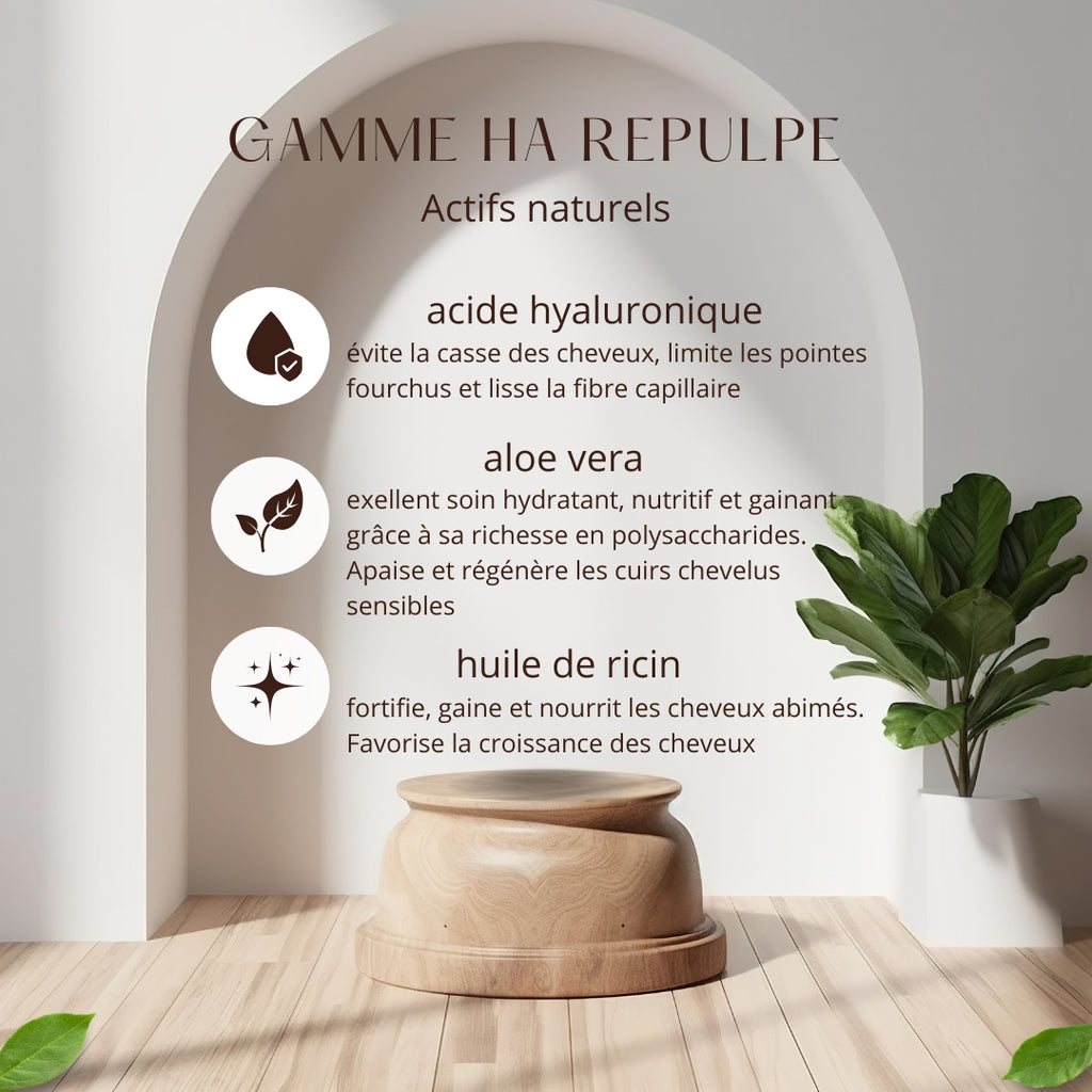 Masque  HA repulpe